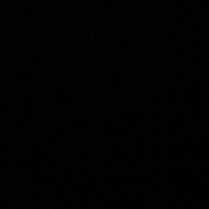 Meet your Posher, Maddy